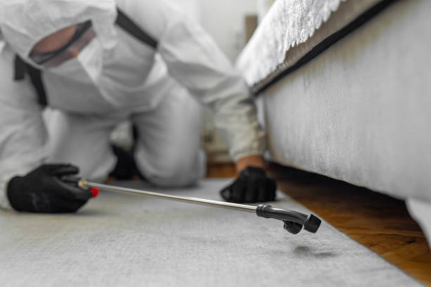 Professional Pest Control technician working in Allendale County County, SC